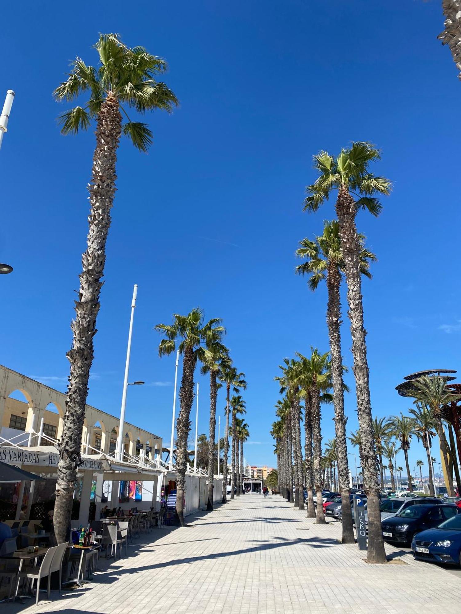 Apartment 13199, Next To The Beach In The Sun, Building Dms-2 Ла Пинеда Екстериор снимка
